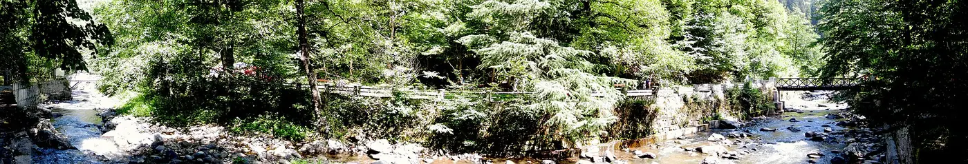 Panorama stațiunii Borjomi