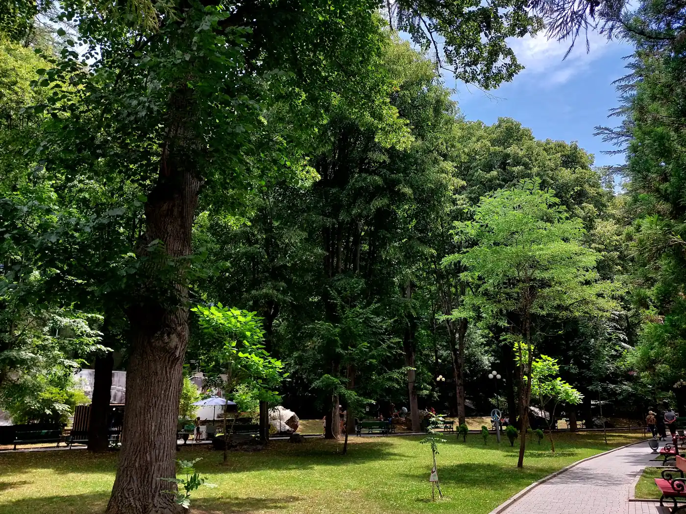 Peisaj din Parcul Central