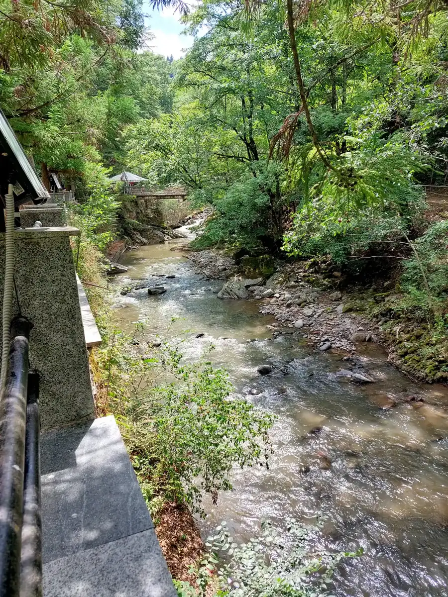 Râul Borjomula, Parcul Central
