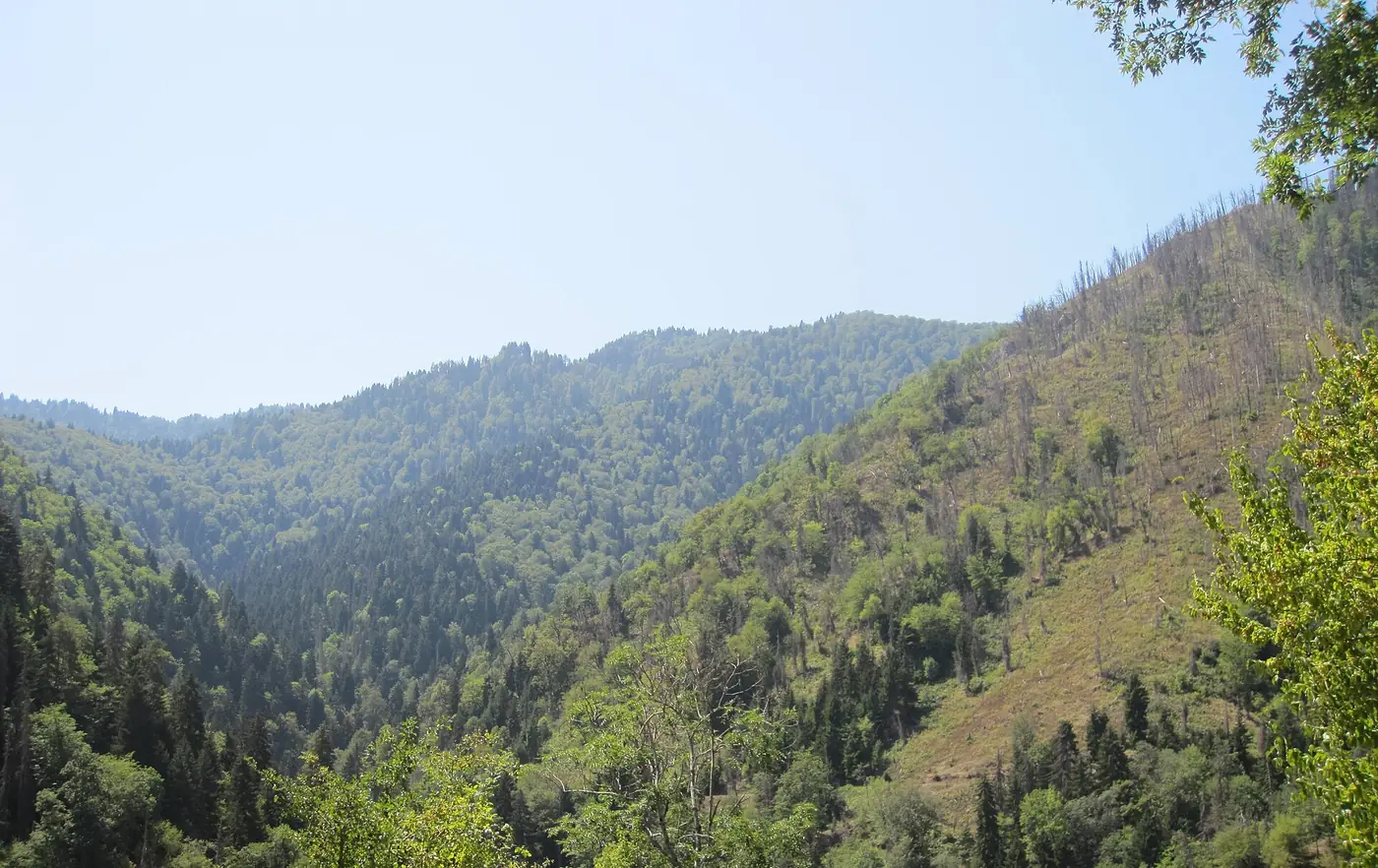 Versanți împăduriți în Parcul Național Borjomi-Kharagauli